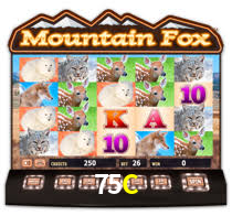 Jogos Exclusivos 75C